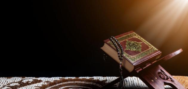 As Sajdah dan Al Mulk, Dua Surat yang Menjadi Pelita Malam Bagi Seorang Muslim